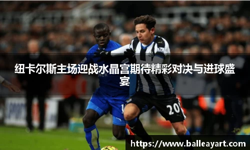纽卡尔斯主场迎战水晶宫期待精彩对决与进球盛宴